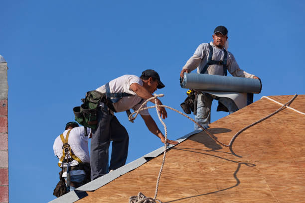 Best Roof Restoration Services  in Perry, LA