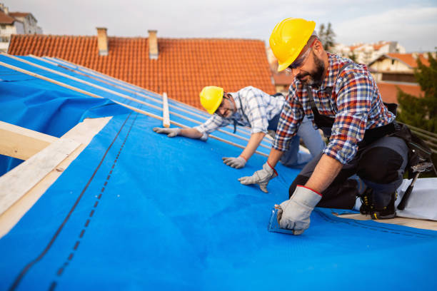 Roof Waterproofing Services in Perry, LA