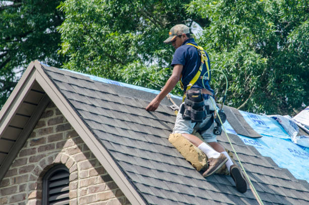 Best Commercial Roofing Services  in Perry, LA